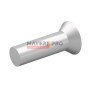 F02250521-M RIVET TSC 6X19,8 A/2 BY PIECE