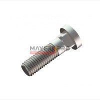 428571-M Wagenbolzen M12x42