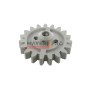 AC489056-M PIGNON 19 DENTS