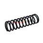 490455-M Spring