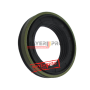 00+415.900-M SEAL 45/70-17 NBR75