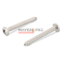 F01070075-М Screw 4,2х38