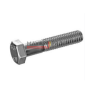 50002010011-M Boulon M20x100 10.9